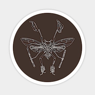 Morris Cicada (light on dark) Magnet